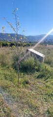Finca rústica a Cv-715 10. Terreno en orba