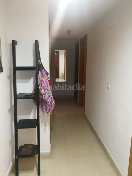 Alquiler Piso en Avenida editor angel caffarena, 25. Alquiler de piso en avenida editor ángel caffarena (Málaga, Málaga)