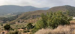 Finca rústica a Plaça poligono 7 76. Terreno rútico con magnificas vistas