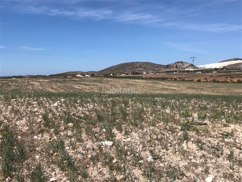 Foto 0ad0e7ce-8ca4-4db9-95e9-c23762965452. Casa a aldea rodriguillo 95 a Pinoso
