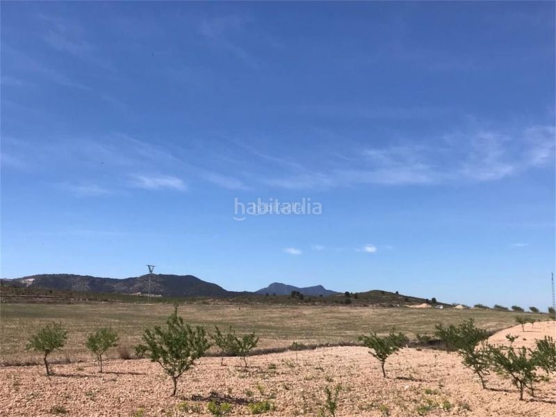 Foto 38e0dea1-1faa-4803-862c-bb2e1e068ae1. Casa a aldea rodriguillo 95 a Pinoso