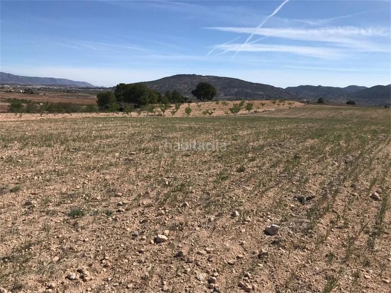 Foto 5b9106e1-5a17-4c29-8660-342cc19e9388. Casa a aldea rodriguillo 95 a Pinoso