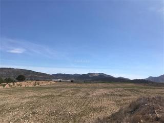 Casa en Aldea rodriguillo 95. El pinós / pinoso / partida rodriguillo