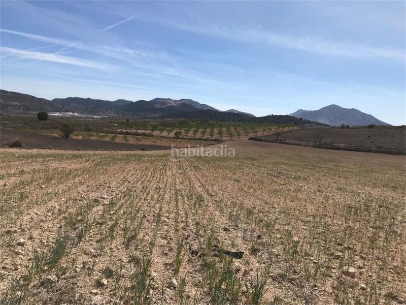 Foto a40f61e7-4eb4-4412-8803-9a7cb480bcd8. Casa a aldea rodriguillo 95 a Pinoso