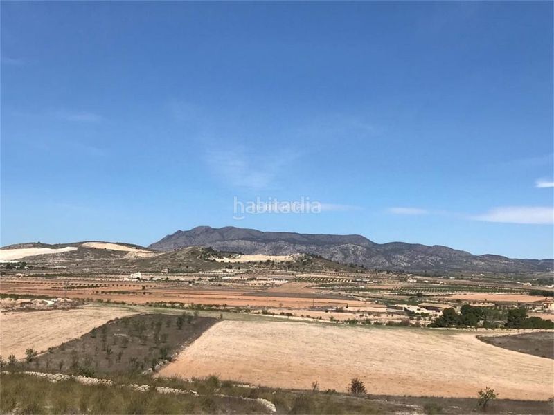 Foto ea8c9cfa-9fc6-4f1b-8867-db416b71a671. Casa a aldea rodriguillo 95 a Pinoso