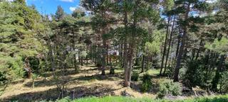 Terreny residencial a Calle m 20. Parcel·la al sector ii de port del comte