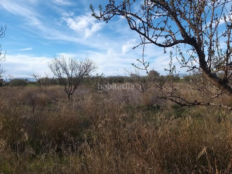 Foto 796670b1-9020-4bb1-9b10-95b4b67133a8. Finca rústica en calle san quintín 25 espacio ideal para esparcimiento familiar. en Gabias (Las)