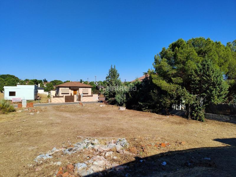 Foto 2f66f116-1373-4d21-9dc5-64de36daaf02. Terreny residencial a calle de los olivos 29 a Álamo (El)