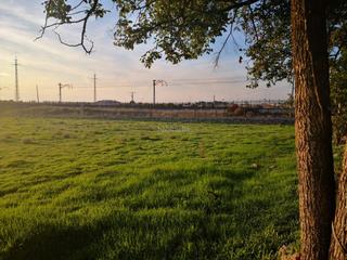 Terreny residencial a Camino extramuros 15. ¡ de inversión en daimiel!