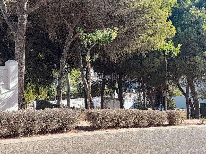 Foto 7dfd7997-806f-49b0-bad6-7e121bdd0e35. Wohngrundstück in calle díez de solís 98 in El Portil