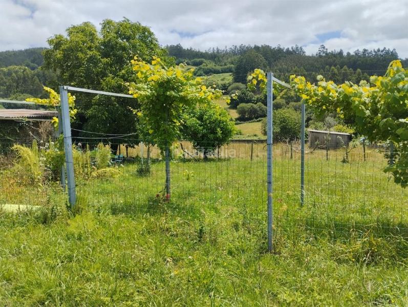 Foto 98270508-79fe-43a6-86a8-f8d7e98102c1. Haus in lugar vilela 2 in San Sadurniño