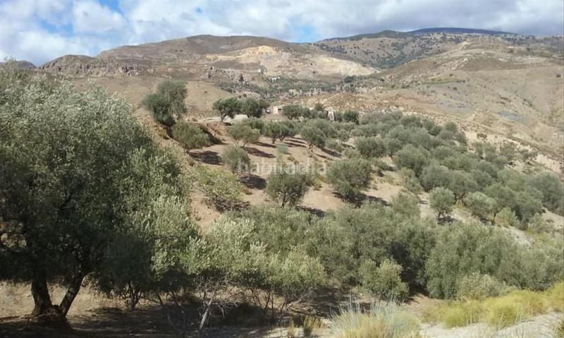 Foto 3108de3f-f99d-4561-b5cc-6758f73191f6. Finca rústica en calle nueva apertura 2 conjunto de 6 parcelas con olivos y cortijo en Cádiar
