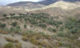 Finca rústica a Calle nueva apertura 2. Conjunto de 6 parcelas con olivos y cortijo