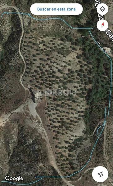 Foto 7c1134df-d664-45b1-81d6-b261261aeddc. Finca rústica en calle nueva apertura 2 conjunto de 6 parcelas con olivos y cortijo en Cádiar