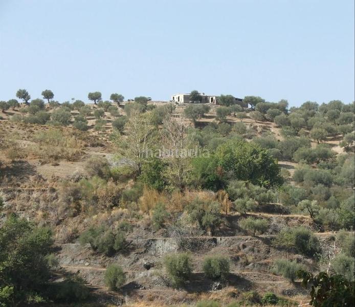 Foto ff86bb52-52ea-4c8e-acde-23aaf731a5fd. Finca rústica en calle nueva apertura 2 conjunto de 6 parcelas con olivos y cortijo en Cádiar