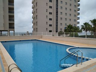 Affitto Piano terra in Urbanización veneziola golf 115. Zona muy tranquila ideal para familias