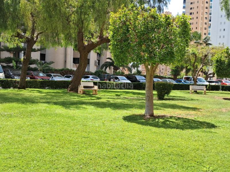 Foto 48fa6181-6609-4840-8983-b61328d4b66c. Local comercial a avenida de europa 29 a Levante Alto Benidorm