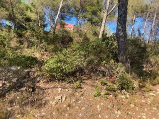 Wohngrundstück in Avinguda dels països catalans 174. Terreno soleado en vallirana park
