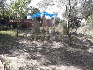 Finca rústica a Carrer d'altimira 22. Terreno 711m2 con pozo de agua