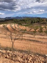 Rural plot in C-43 5. Finca rústica de 20000 m2 en pinell de brai