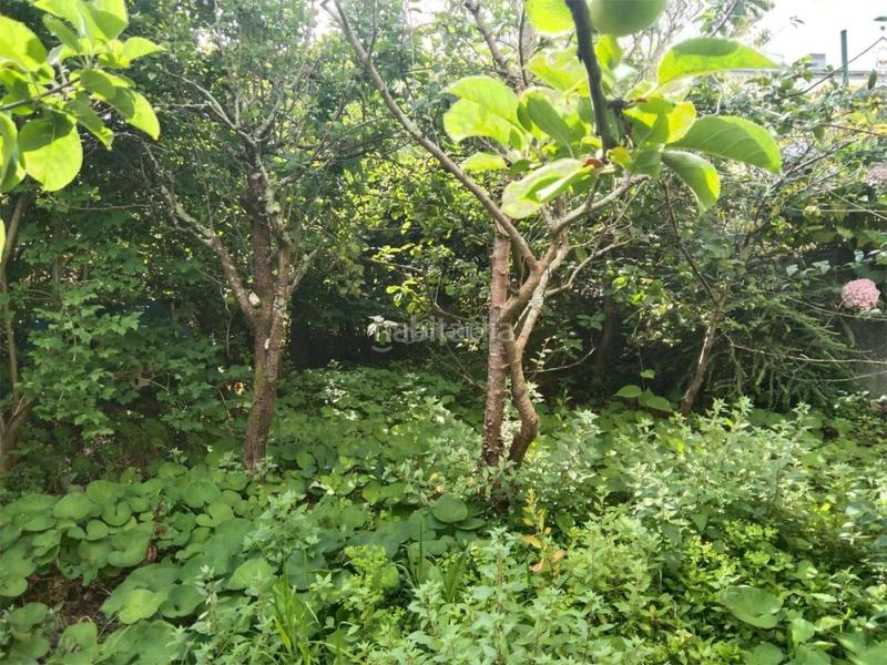 Foto ececd162-4190-47a0-a7f0-f036e5d7130b. Casa en rúa cangrexeiras 5 Canido / rúa cangrexeiras en Ferrol