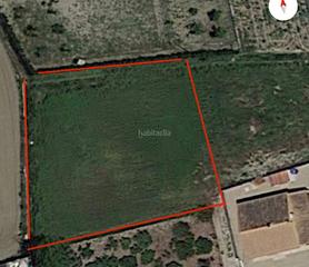 Residential Plot in Diseminado cm gloria 10. Venta de solar