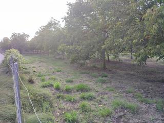 Finca rústica a Plaça numero 20 256. Finca rustica en ontinyent