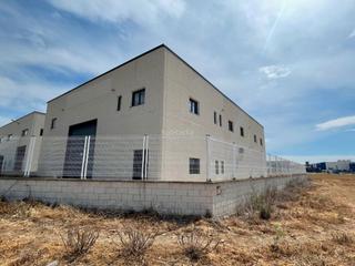 Nau industrial a Calle el terronal 50. Nave aislada en venta en fuente el saz de jarama