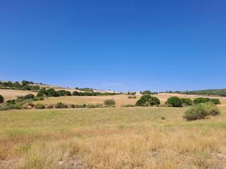 Finca rústica en Cm-412 222. Cortijo en elche de la sierra (albacete)