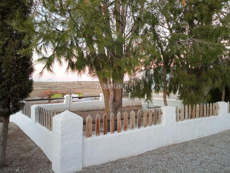 Foto 055cd516-0dc6-43ea-8698-1306d4335b01. Finca rústica a calle ciprés 11 a Baza