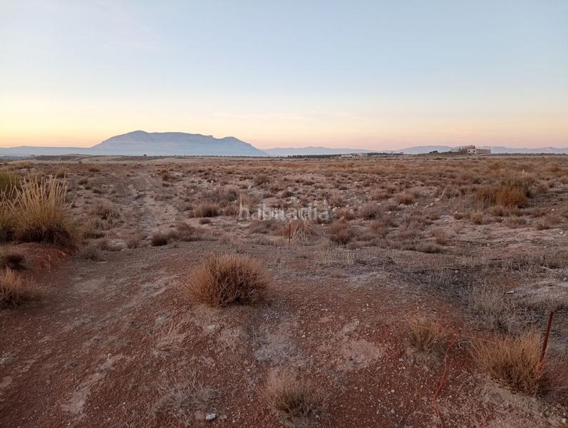 Foto 09122c16-c27a-4c86-a66b-9ed3adfe1fd8. Finca rústica a calle ciprés 11 a Baza