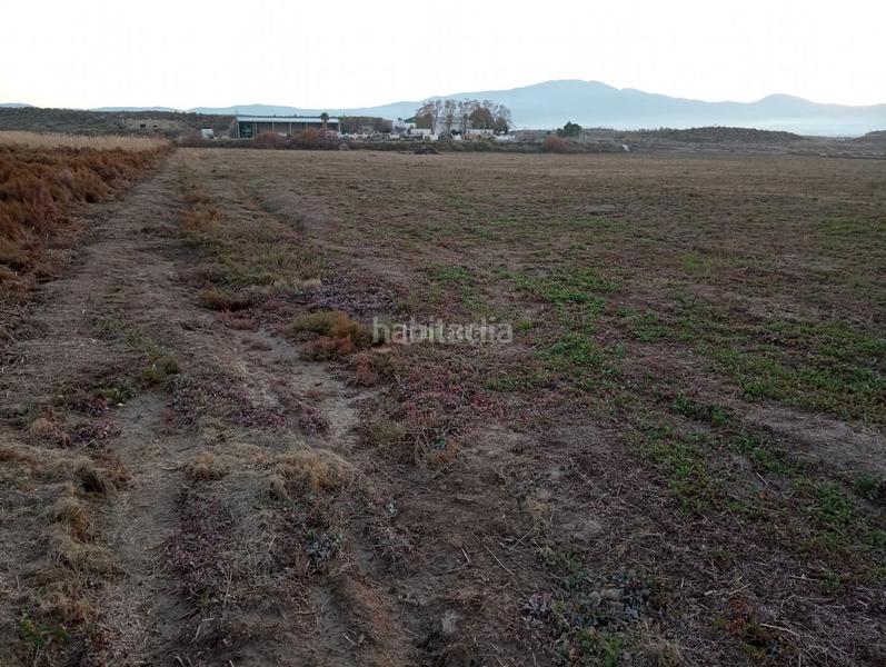 Foto 09db44cf-ef65-40ab-8abd-3f5a96aa6b50. Finca rústica a calle ciprés 11 a Baza