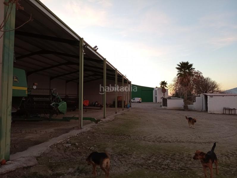 Foto 13db99a2-0fc5-4991-b44a-040264253ab9. Finca rústica a calle ciprés 11 a Baza