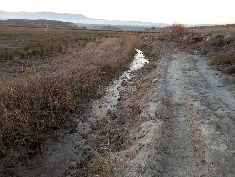 Foto 17aa760e-0f99-4544-a0d4-72d3fe84a0bc. Finca rústica a calle ciprés 11 a Baza