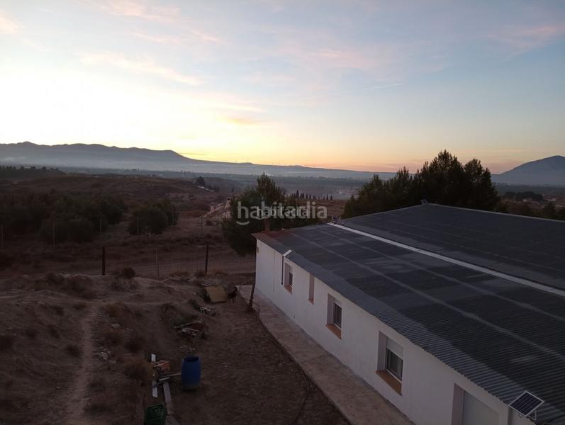 Foto 195adb64-6824-477f-ab12-e850ec32c3f7. Finca rústica a calle ciprés 11 a Baza