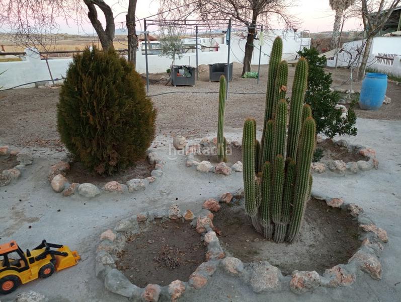 Foto 2ea19670-e1b0-49fe-a784-c2dc81ae0980. Finca rústica a calle ciprés 11 a Baza