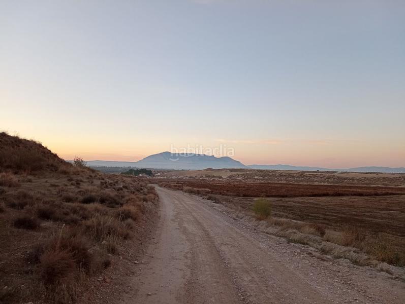 Foto 5299b8c9-b25b-4599-b2fe-93aec90e3319. Finca rústica a calle ciprés 11 a Baza