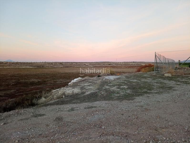 Foto 60f20818-d69d-4778-b377-1dd60dda74e2. Finca rústica a calle ciprés 11 a Baza