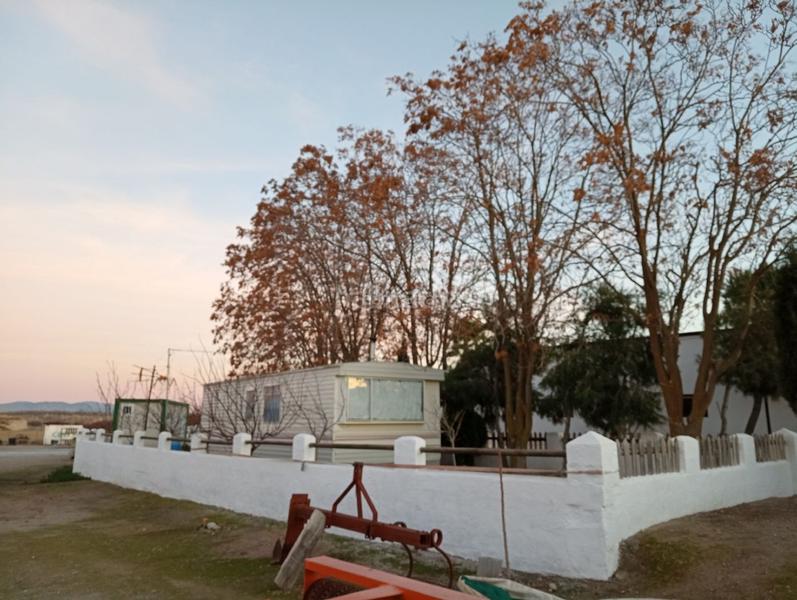 Foto 7d2e74f2-f09c-415c-a1c9-f577988a0cfd. Finca rústica a calle ciprés 11 a Baza