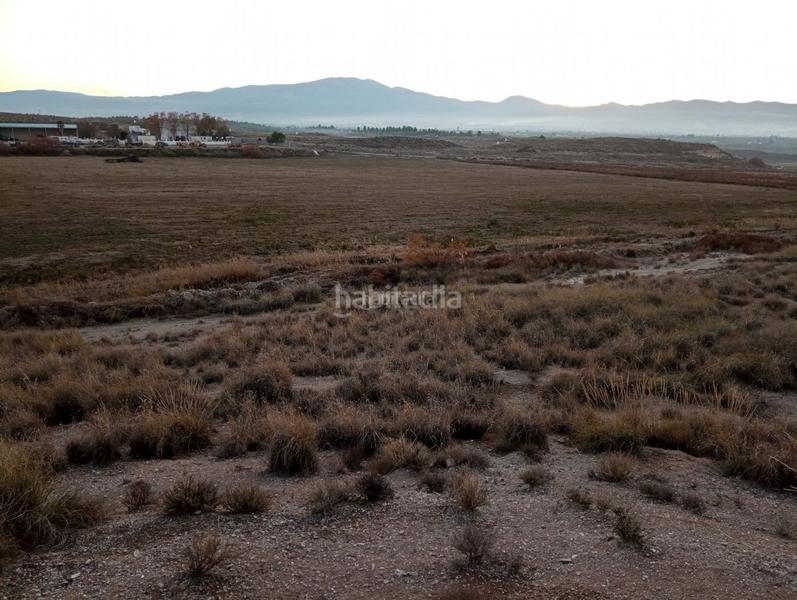 Foto 7f175798-6b95-4108-acad-068473db659e. Finca rústica a calle ciprés 11 a Baza