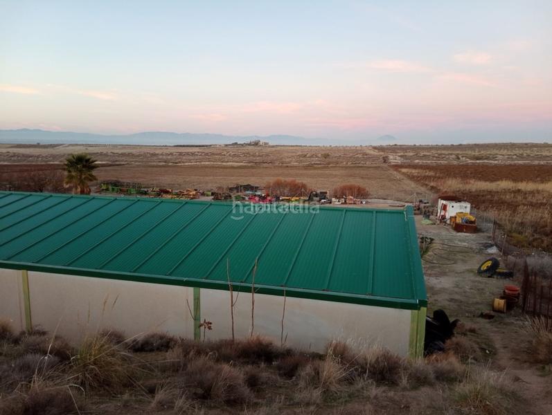 Foto 935451a5-0e0e-4fd3-9007-27d8d1603575. Finca rústica a calle ciprés 11 a Baza