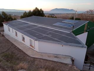Finca rústica a Calle ciprés 11. Venta de terreno con multitud de occiones