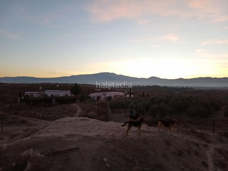 Foto 9d8b4c7f-b112-453f-b409-60ddd43919ce. Finca rústica a calle ciprés 11 a Baza