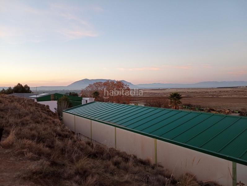 Foto ce97862f-8817-4b94-a7ae-496848ee0f15. Finca rústica a calle ciprés 11 a Baza