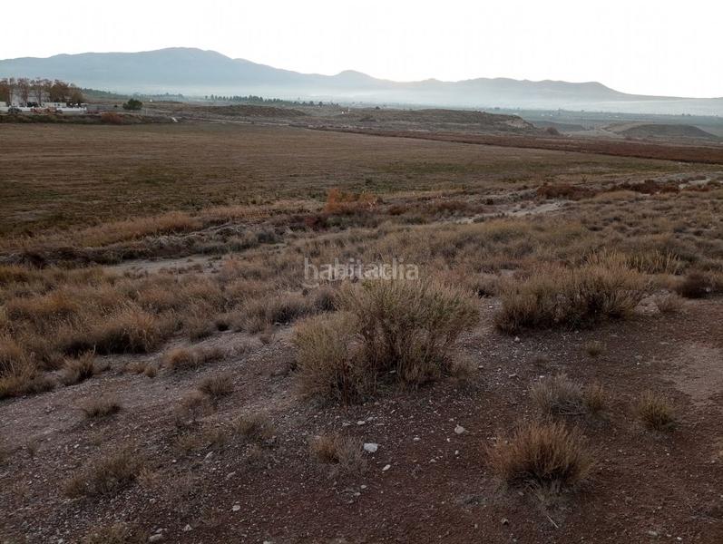 Foto d5a3478e-ce35-4de8-bac3-3d9aaa05a164. Finca rústica a calle ciprés 11 a Baza