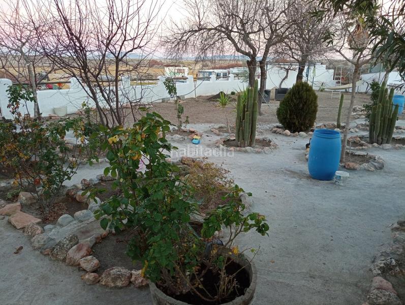Foto d86b9ef3-4a8f-410f-9e50-46bcf36293b5. Finca rústica a calle ciprés 11 a Baza