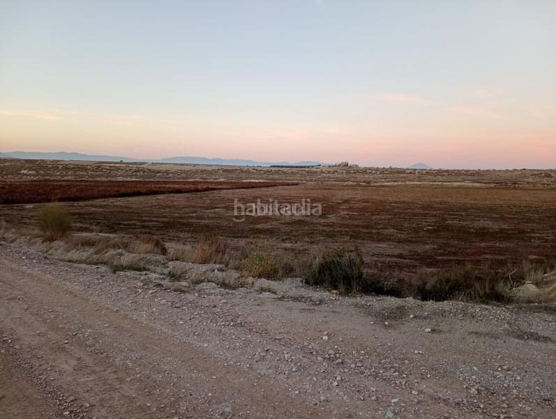 Foto ddf42278-2cd2-487d-bd00-47939385fa07. Finca rústica a calle ciprés 11 a Baza