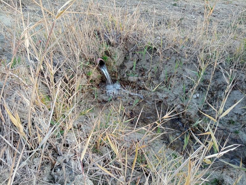 Foto e07360e3-9f01-49a0-9387-140e9387b2b2. Finca rústica a calle ciprés 11 a Baza