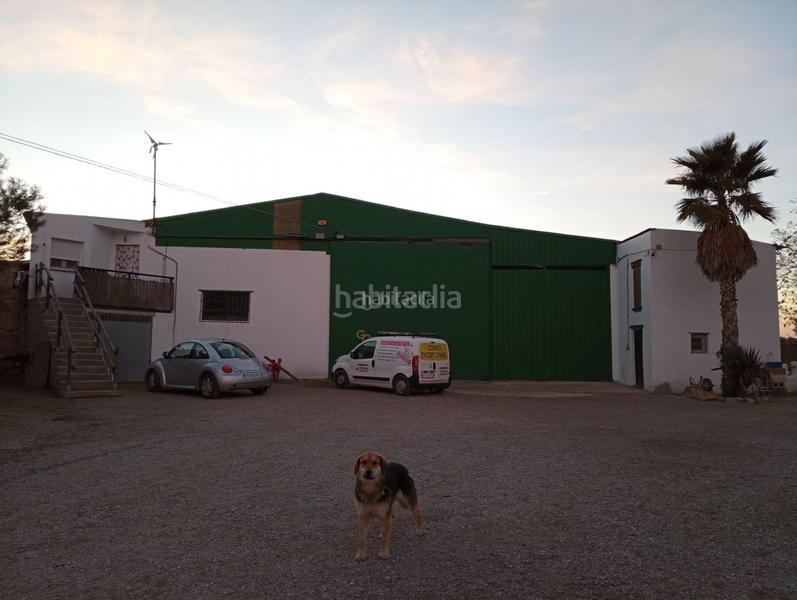 Foto fd5e80ab-294b-4d81-9481-719b96ddef0e. Finca rústica a calle ciprés 11 a Baza