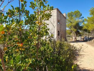 Finca rústica a Avinguda barcelona 5. Terreno rústico de 57000m2 y vivienda a reformar